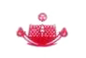 Garrison Polysacks Ltd., AMOD