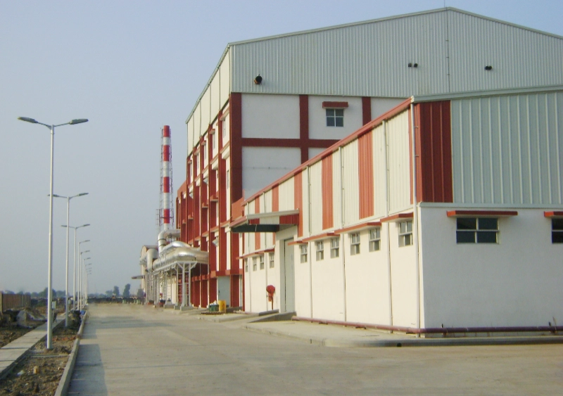 Hindustan Gum & Chemical Ltd. Viramgam